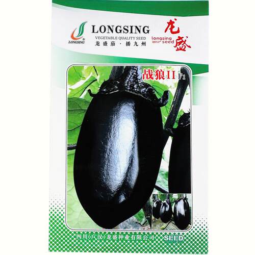 龙盛战狼ll茄子种子杂交油黑发亮灯泡形茄子种子淡绿肉牛心茄子