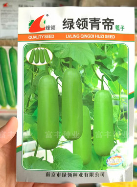 绿领青帝瓠子种子早熟杂交短棒瓠瓜种子肉厚柔嫩香甜短蒲瓜种子