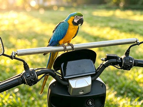 StainlessSteelMotorcycleParrotPerchforLarge Parrots
