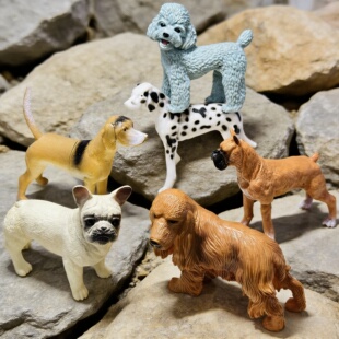 仿真狗狗动物模型6只装 实心塑胶儿童认知玩具男女孩过家家摆件