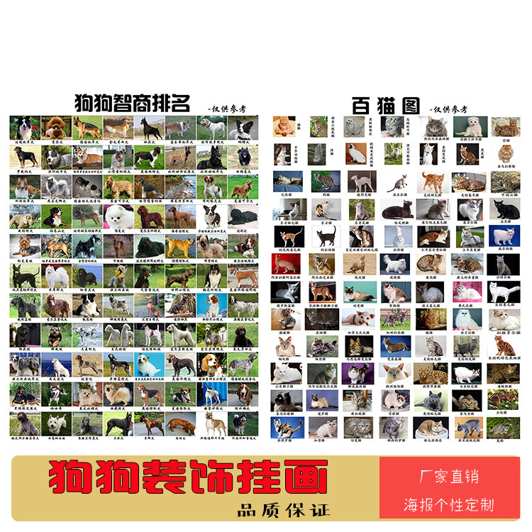 百猫图宠物猫咪介绍海报百犬图狗狗智商排行年龄对照表装饰墙贴画
