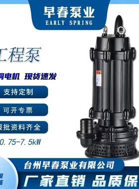 污水泵扬程50米高扬程提升泵工业泥浆工程泵380V三相抽水无堵塞