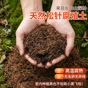 松针腐殖土天然腐叶腐熟纯君子兰花多肉泥炭营养土养花通用专用土