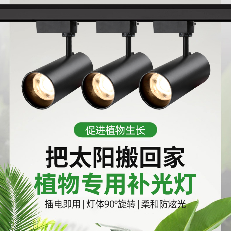 【一万+人种草】植物专用补光灯