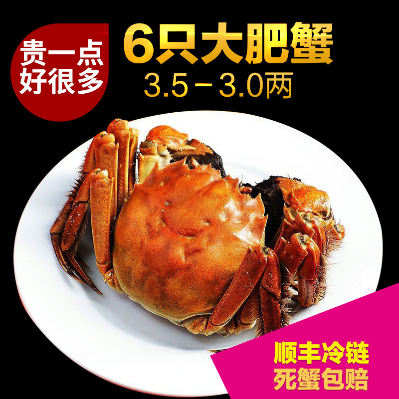黄河口大闸蟹山东东营鲜活6只全公母礼盒装特大螃蟹|ruв категории водной мясо/свежие фрукты и овощи/еда, морепродукты/водные продукты/изделия, краб, краб - от Buy2taobao.com для оказания профессиональной услуги покупки агента Taobao