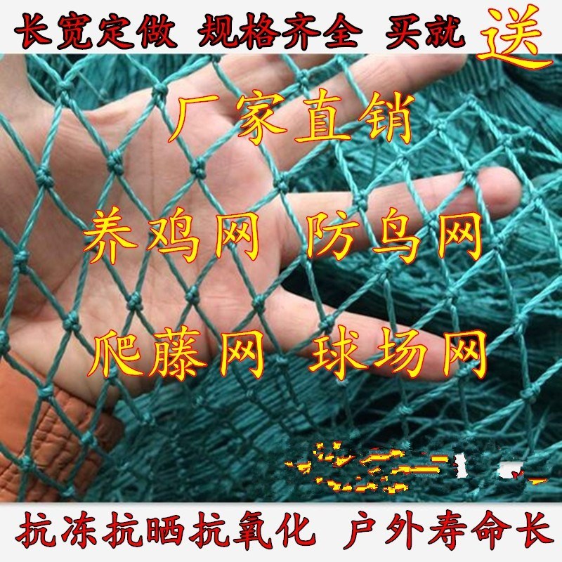 Orchard Life Long net Raising chickens Line network breed Anti-bird netting outdoor Botany centimeter 2-5 latticein the Flower delivery/Flowers simulation/Plants gardening , Gardening supplies , Other Garden Supplies  category - from Buy2taobao.com to provide professional Taobao agent buy service