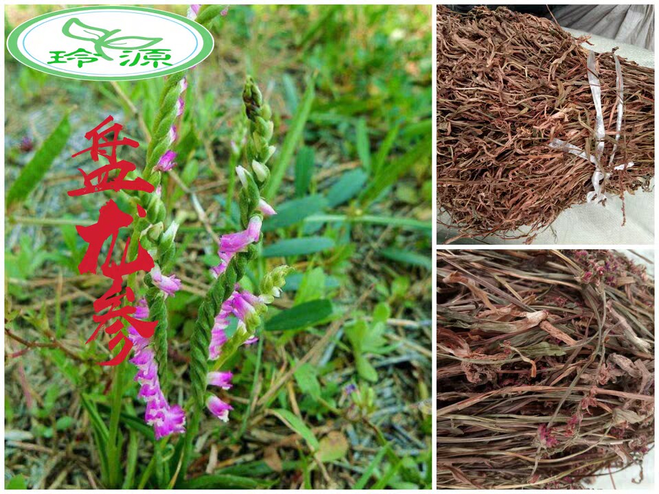 中国大陆紫花新款贵州省野生草盘龙参干货龙抱柱猪鞭草绶草250克