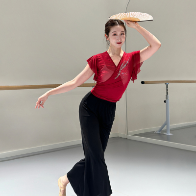 红色古典舞烫钻短袖练功纱衣女