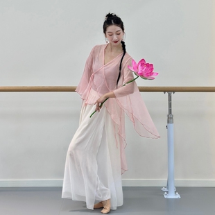古典舞蹈服女飘逸纱衣成人舞蹈身韵中国舞基训练功服古风演出服粉