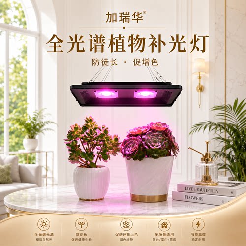 月季多肉植物绣球育苗家用补光灯