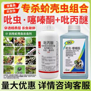 蚧壳虫专用药吡虫噻嗪酮吡丙醚吡虫啉噻嗪铜介壳虫专杀杀虫剂农药