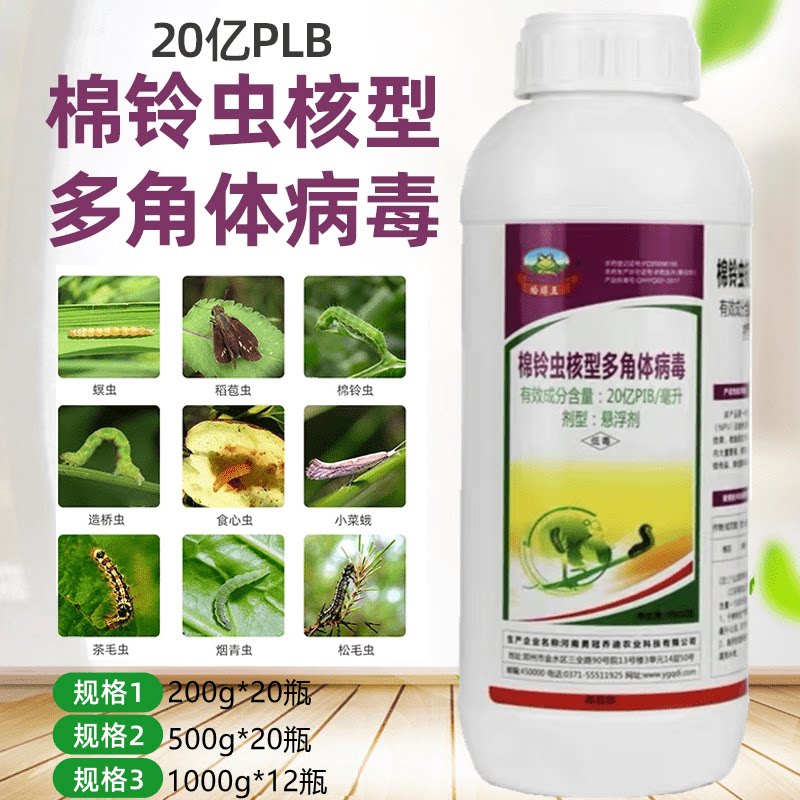 勇冠蛤蟆王棉铃虫核型多角体病毒棉花棉铃虫辣椒烟青虫农药杀虫剂