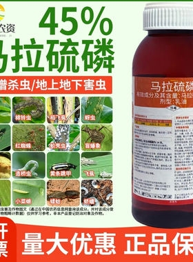 马拉硫磷杀虫剂蚜虫蓟马青虫跳甲盲蝽象蝗虫粘虫水稻小麦果树农药