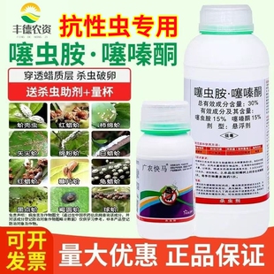 30%噻虫胺噻嗪酮蚧壳虫药柿子树介壳虫专用药梨木虱柑橘果树农药