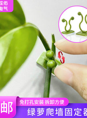 绿萝爬墙固定器缠绕家用卡扣室内客厅爬藤神器绿植藤蔓上墙面吸盘