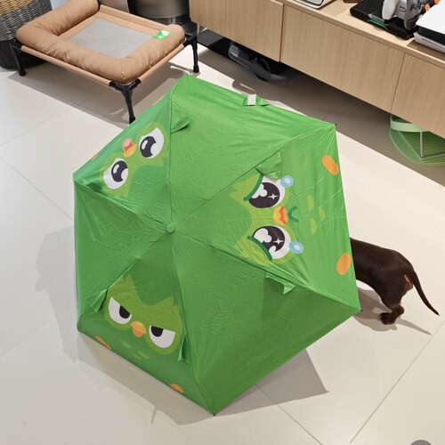多邻国趣味五折防晒伞 名创优品MINISO