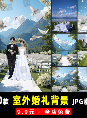 薇拉AI外景临场感婚礼现场婚纱照合成背景PS设计JPG素材模板 K982