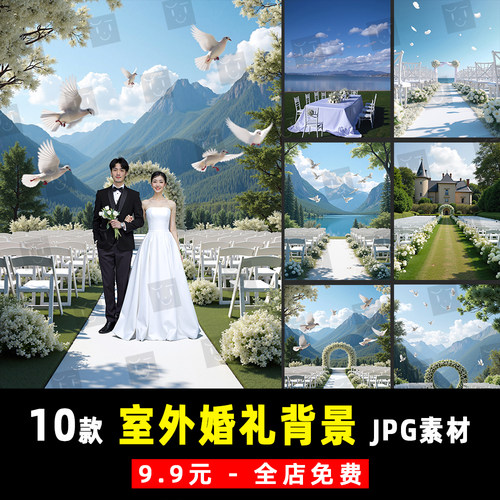 薇拉AI外景临场感婚礼现场婚纱照合成背景PS设计JPG素材模板 K982