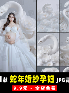 白蛇年婚纱孕妇写真儿童宝宝照AI摄影合成PS背景JPG素材模板 K994