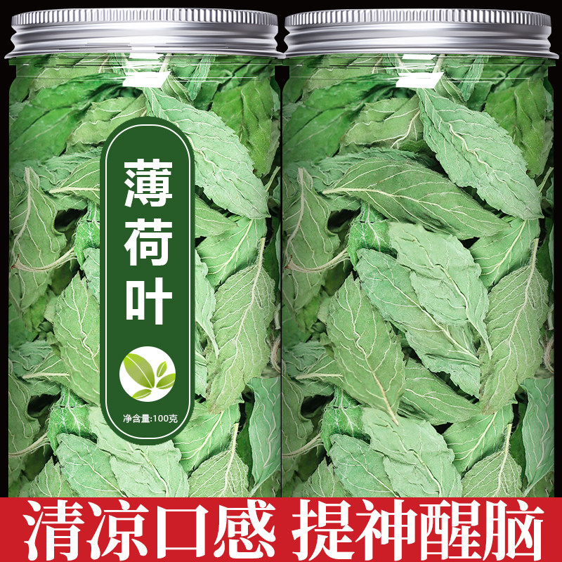 干薄荷叶提神醒脑的中药材茶图片