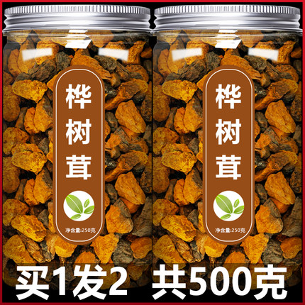 桦树茸正品野生白桦茸茶黑金整块颗粒粉桦褐孔菌的功效俄罗斯进口