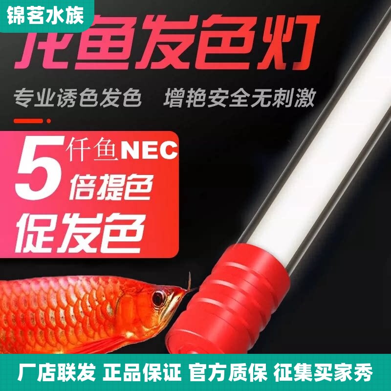 仟鱼nec鱼缸灯全光谱防水红龙紫外线龙鱼专用6700k增艳诱色t8灯管