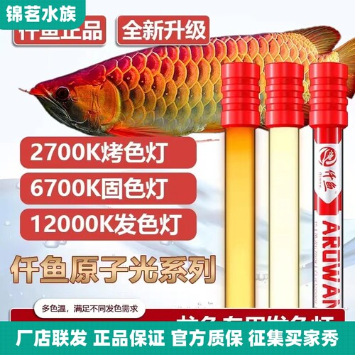 仟鱼12000K红龙金龙发色灯6700专用防水鱼缸灯侧灯诱色潜水灯2700