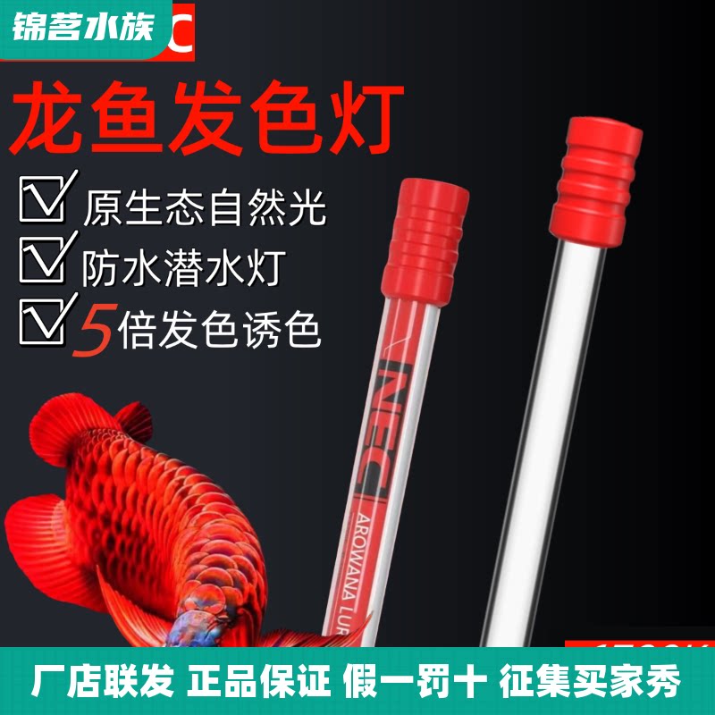 NEC红龙金龙鱼专用发色诱色三基色日光照明灯管T8防水潜水鱼缸灯