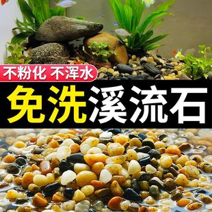 天然溪流石鱼缸底砂造景专用五彩石大石头天然铺底免洗原生鹅卵石