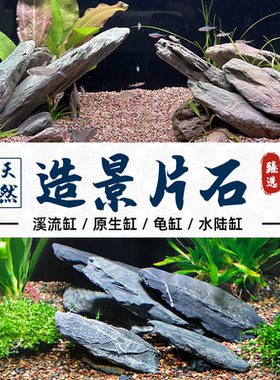 鱼缸造景片石天然片岩石水陆缸鱼虾龟晒台石头摆件假山溪流石龟缸