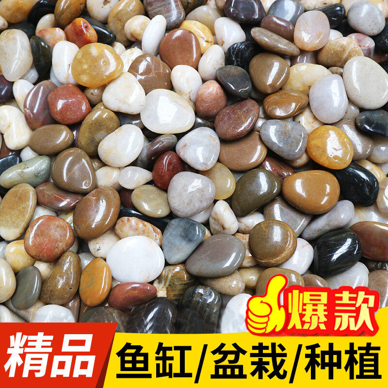 天然雨花石鹅卵石鱼缸造景原石小白石子五彩石鹅软石卵石彩色石