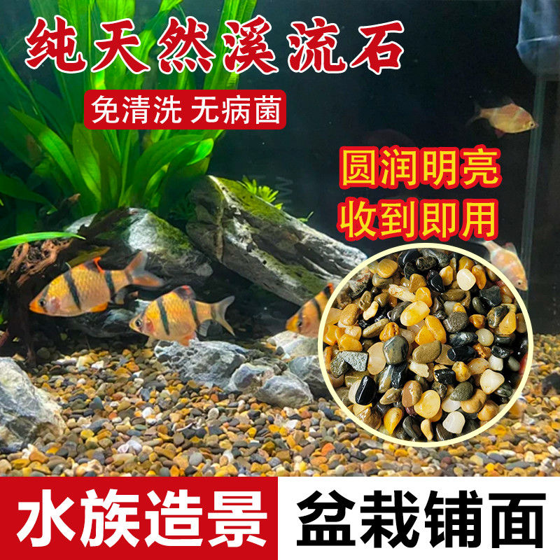 鱼缸造景溪流石精洗溪流石