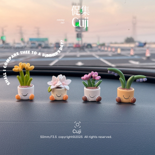 促集可爱花朵盆栽汽车中控台屏幕站立体贴内饰用品装 饰摆台小摆件