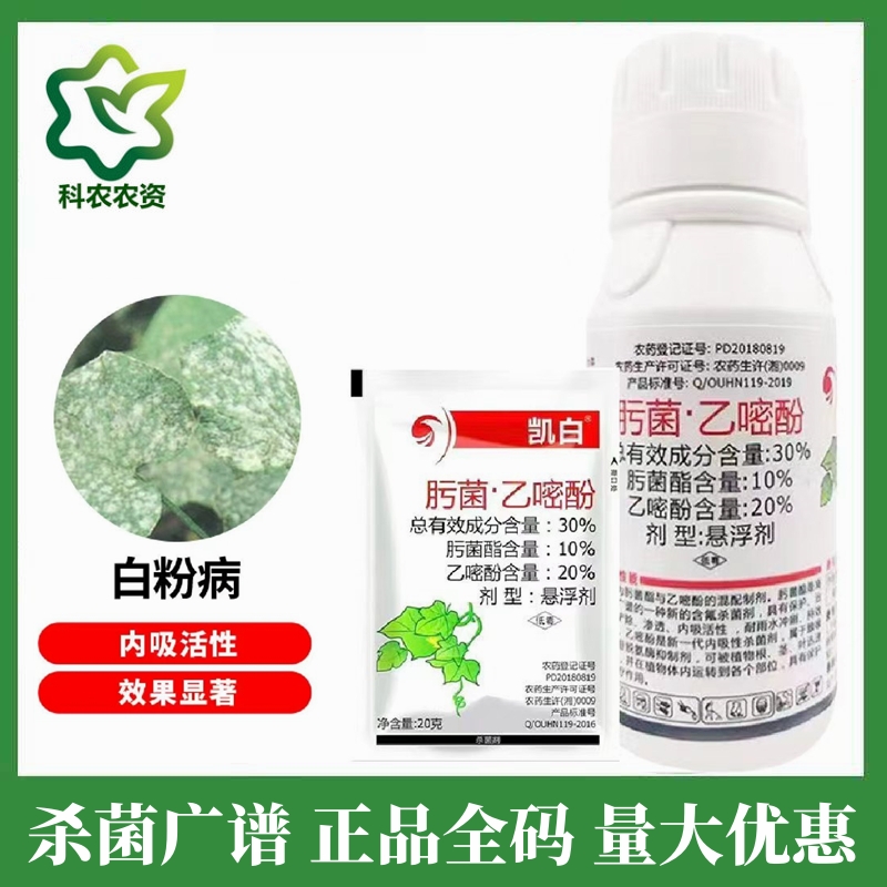 凯白白粉病锈病特效专用药肟菌酯脂乙嘧酚植物果树草莓农用杀菌剂