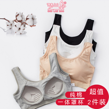 纯棉无钢圈一体式 聚拢内衣女打底防走光裹胸背心运动睡眠文胸夏季