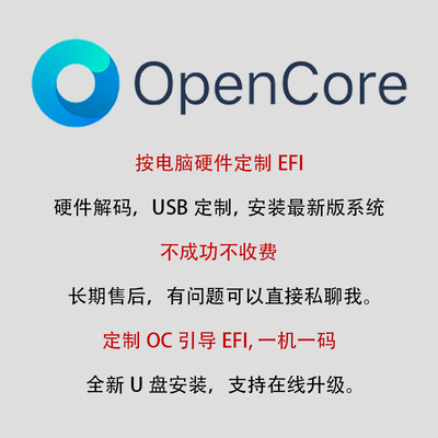 黑苹果系统安装EFI定制OC引导升级Ventura双系统硬件加速支持13代 商务/设计服务 硒鼓加粉服务 原图主图