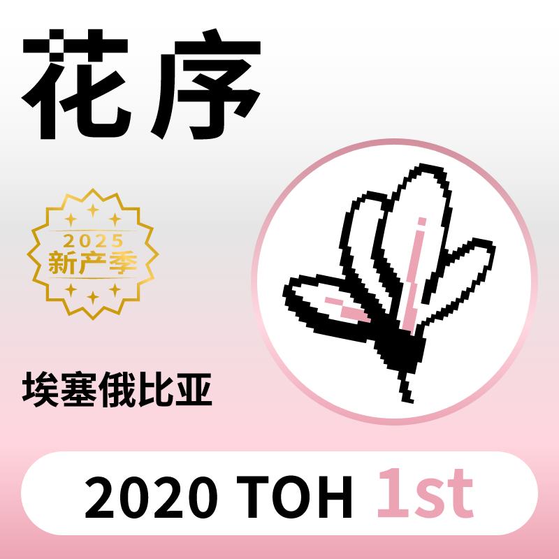 捌比特埃塞花序水洗处理咖啡豆