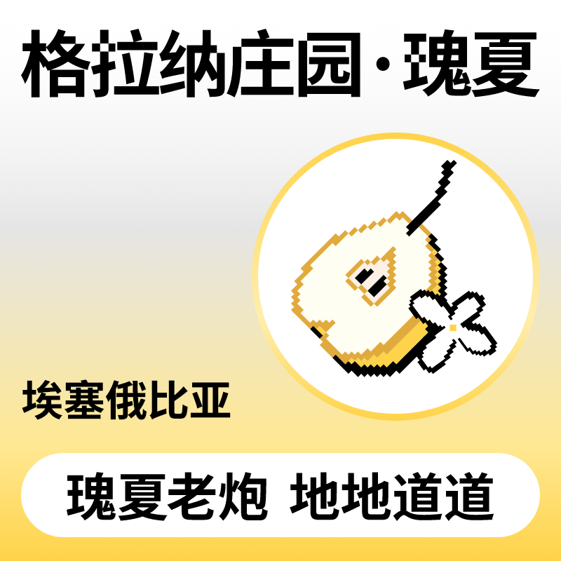 捌比特埃塞俄比亚格拉纳庄园瑰夏浅烘焙手冲水洗精品咖啡豆250g
