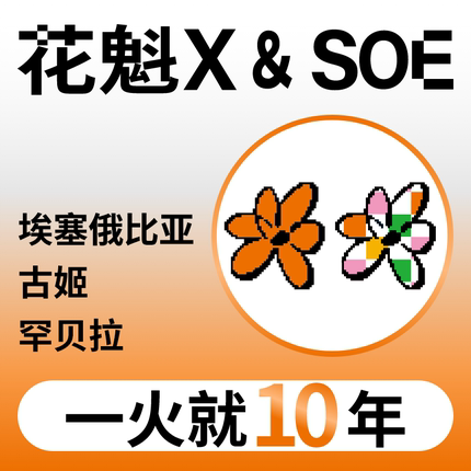 捌比特埃塞俄比亚花魁X罕贝拉SOE8.0精品手冲意式咖啡豆粉250g