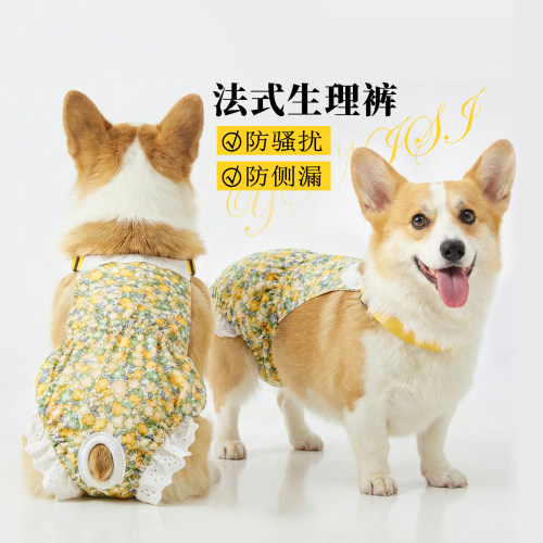 狗狗避孕神器柯基柴犬专用生理裤