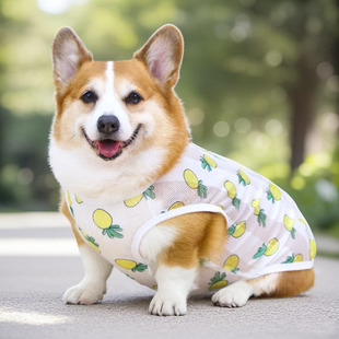 宠物狗狗衣服夏日防晒衣柯基柴犬防掉毛防脏背心夏中型犬背心薄款