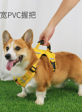 宠物胸背带狗狗遛狗绳牵引绳柯基泰迪中型犬幼犬背心式防爆冲项圈