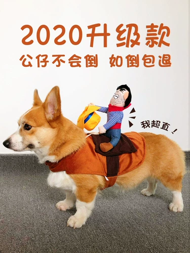 Собака езда в сетевом красном питомце смешной джинсовой рыцарь Корки Тедди Смешная маленькая свинья творческая одежда для собак