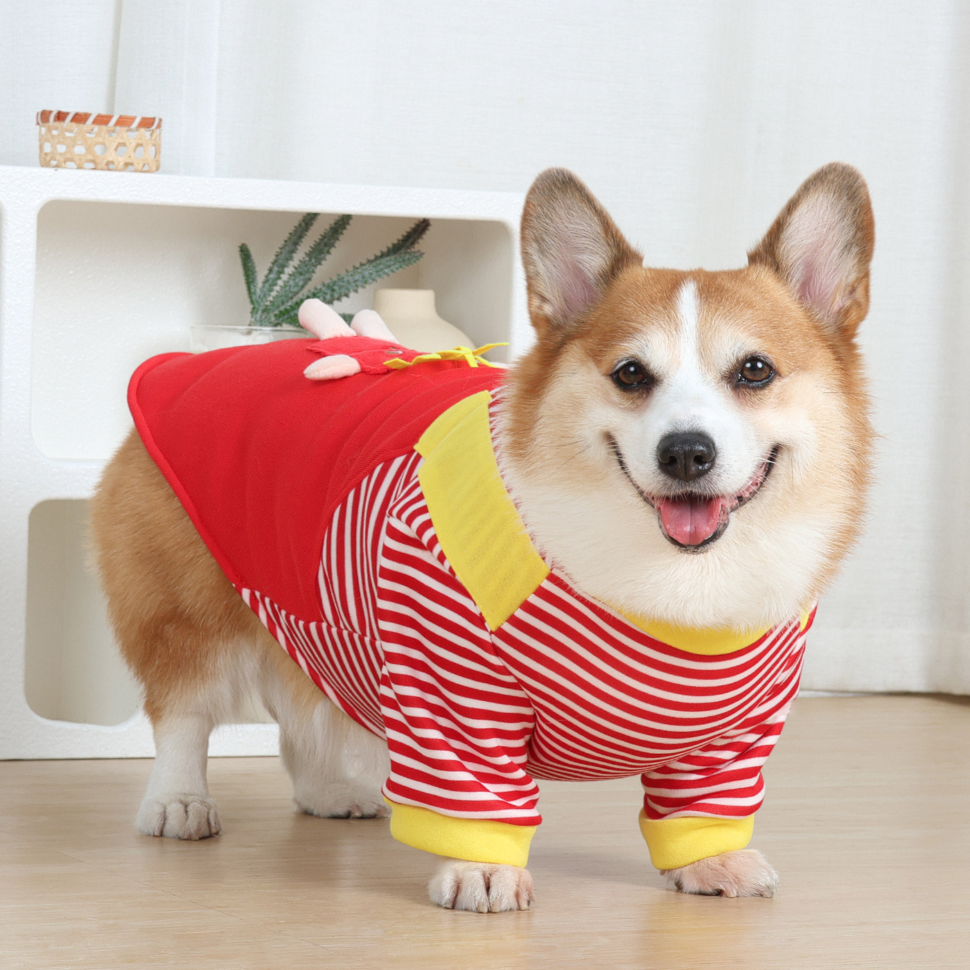 宠物狗狗衣服秋冬款卫衣中型犬柯基法斗泰迪可牵引春秋防掉毛背带,宠物/宠物食品及用品,狗宠物服装/雨衣,淘宝优惠券,粉丝福利购,淘宝优惠卷