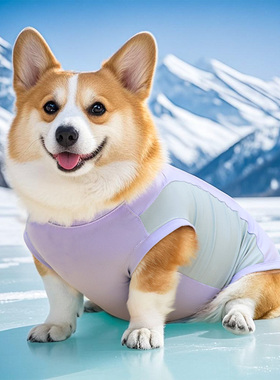 宠物狗狗夏季衣服防晒衣凉凉衣柯基法斗中型犬夏天薄款防掉毛背心