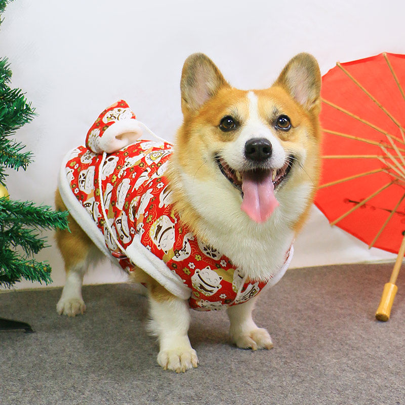 宠物狗狗秋冬衣服喜庆可爱过年装新年网红冬款冬装柯基泰迪中型犬,宠物/宠物食品及用品,狗宠物服装/雨衣,淘宝优惠券,粉丝福利购,淘宝优惠卷