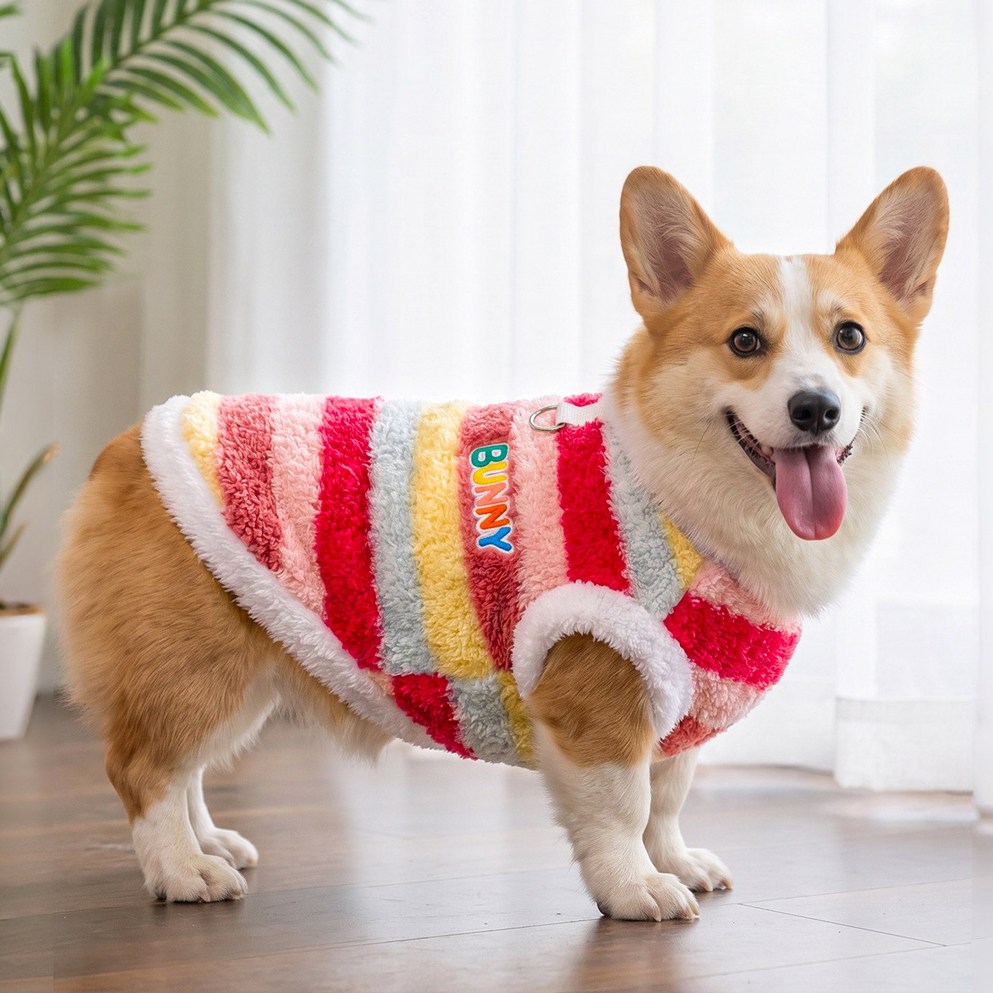 狗狗睡衣柯基柴犬小狗冬季保暖宠物衣服新年背心中型犬圣诞服装冬