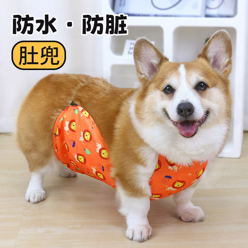 宠物狗狗衣服狗狗肚兜防着凉防水防脏柯基专用中型犬护肚雨衣春季