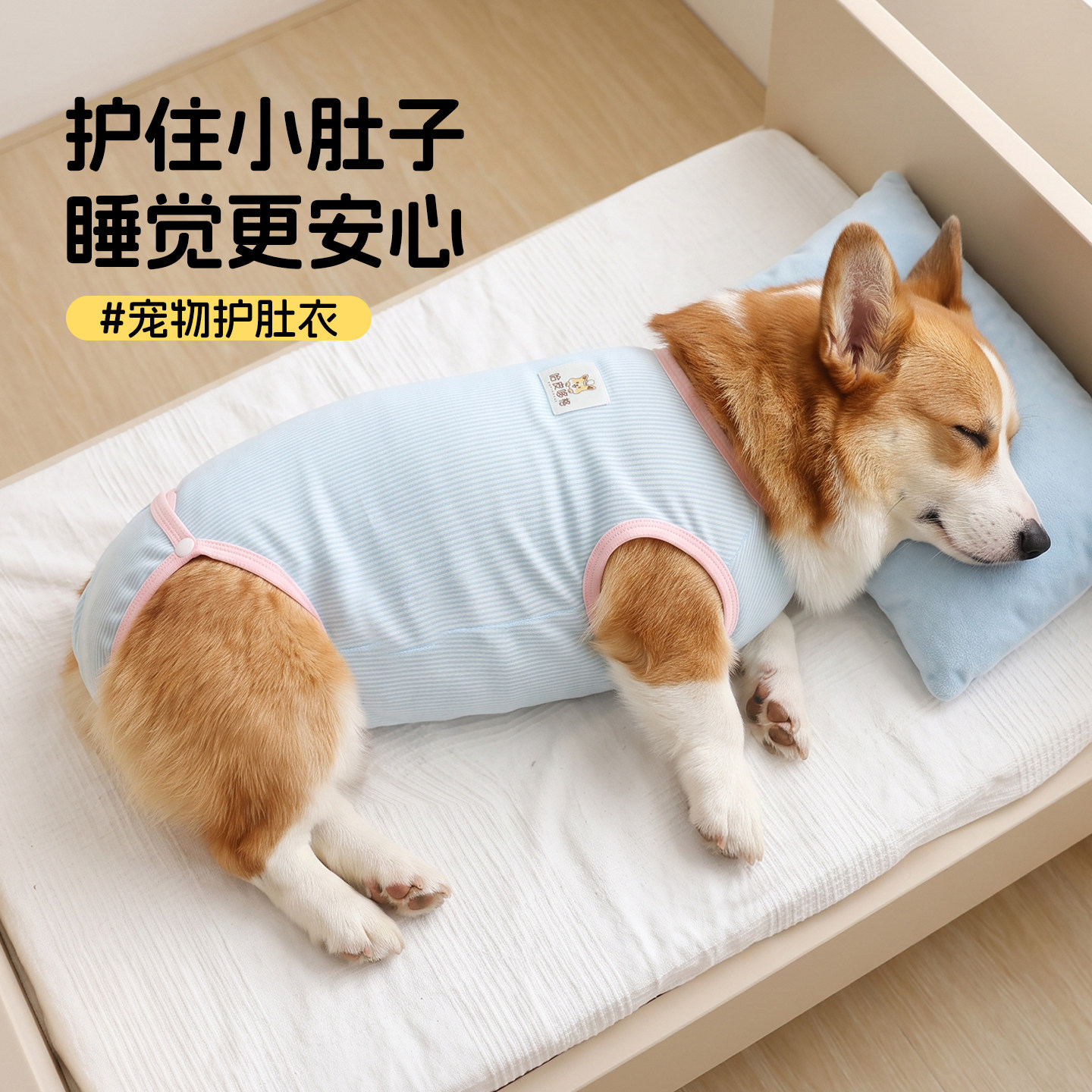 宠物狗狗夏季空调房护肚衣包肚子图片