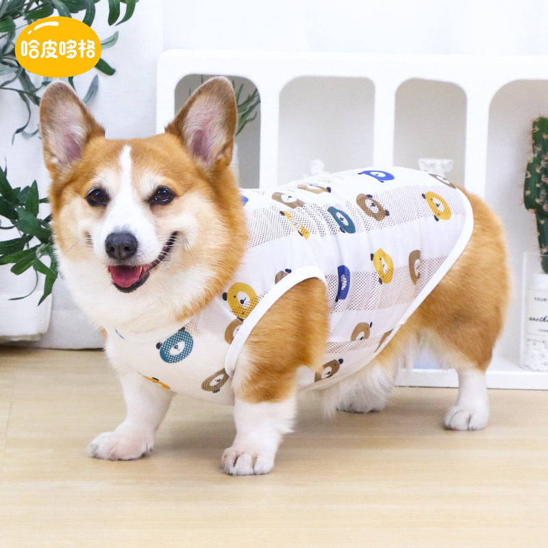 宠物狗狗薄款透气衣服背心空调服										